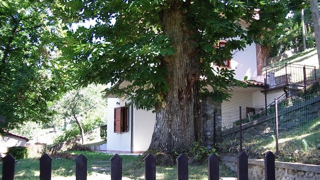 Villetta Terra Tetto Barga Loc. Renaio Mq 110 con Giardino