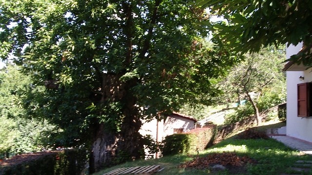 Villetta Terra Tetto Barga Loc. Renaio Mq 110 con Giardino