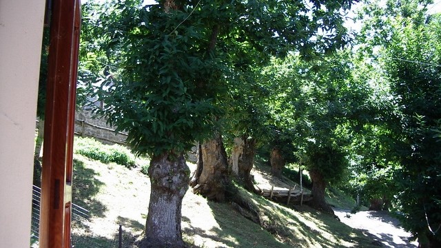 Villetta Terra Tetto Barga Loc. Renaio Mq 110 con Giardino