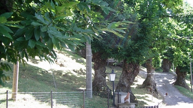 Villetta Terra Tetto Barga Loc. Renaio Mq 110 con Giardino