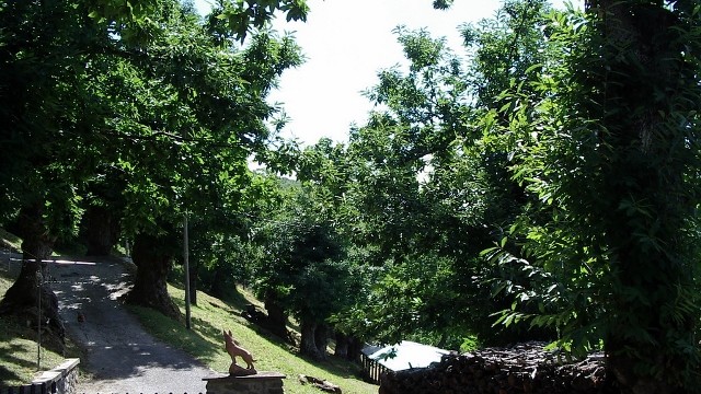 Villetta Terra Tetto Barga Loc. Renaio Mq 110 con Giardino