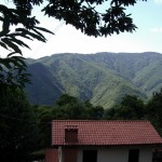 Villetta Terra Tetto Barga Loc. Renaio Mq 110 con Giardino