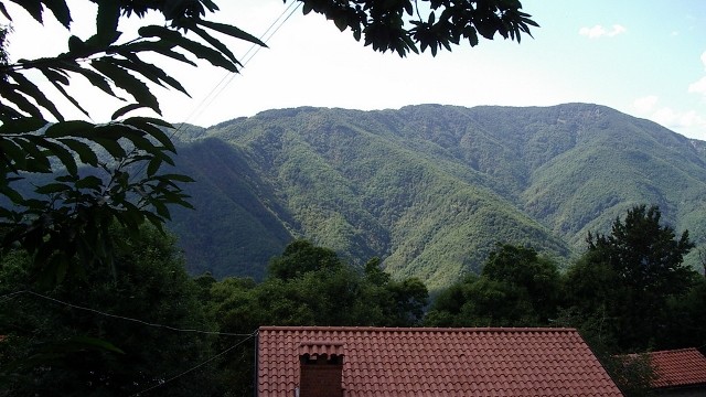 Villetta Terra Tetto Barga Loc. Renaio Mq 110 con Giardino