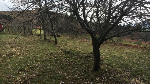 Villetta Terra Tetto Bagni di Lucca Albereta Mq 220