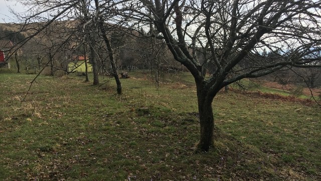 Villetta Terra Tetto Bagni di Lucca Albereta Mq 220