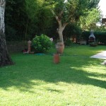 Villa Pietrasanta Tonfano Mq 160 Giardino Mq 1300