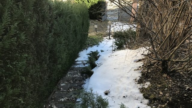 Appartamento Porzione Bifamiliare Pianosinatico Tre Vani Mq 80