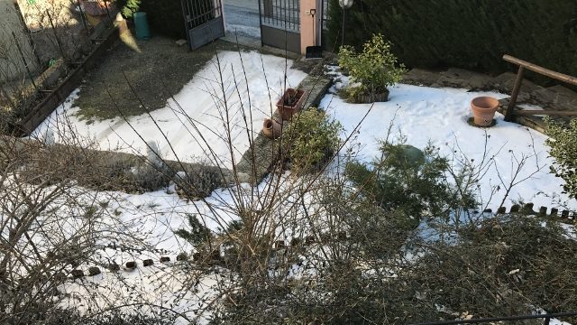 Appartamento Porzione Bifamiliare Pianosinatico Tre Vani Mq 80