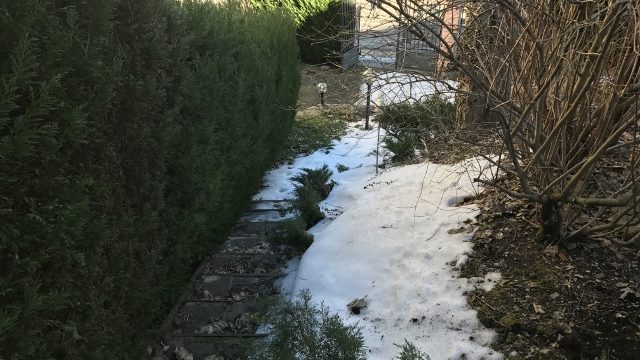 Appartamento Porzione Bifamiliare Pianosinatico Tre Vani Mq 80